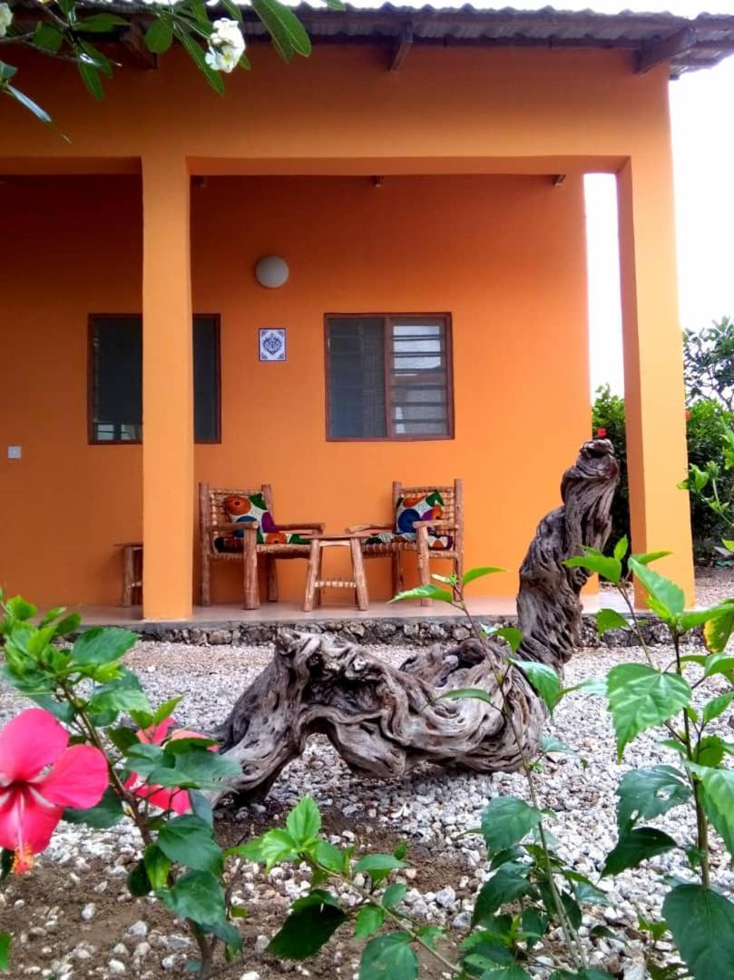 Kamili View Apartments キウェンワ エクステリア 写真
